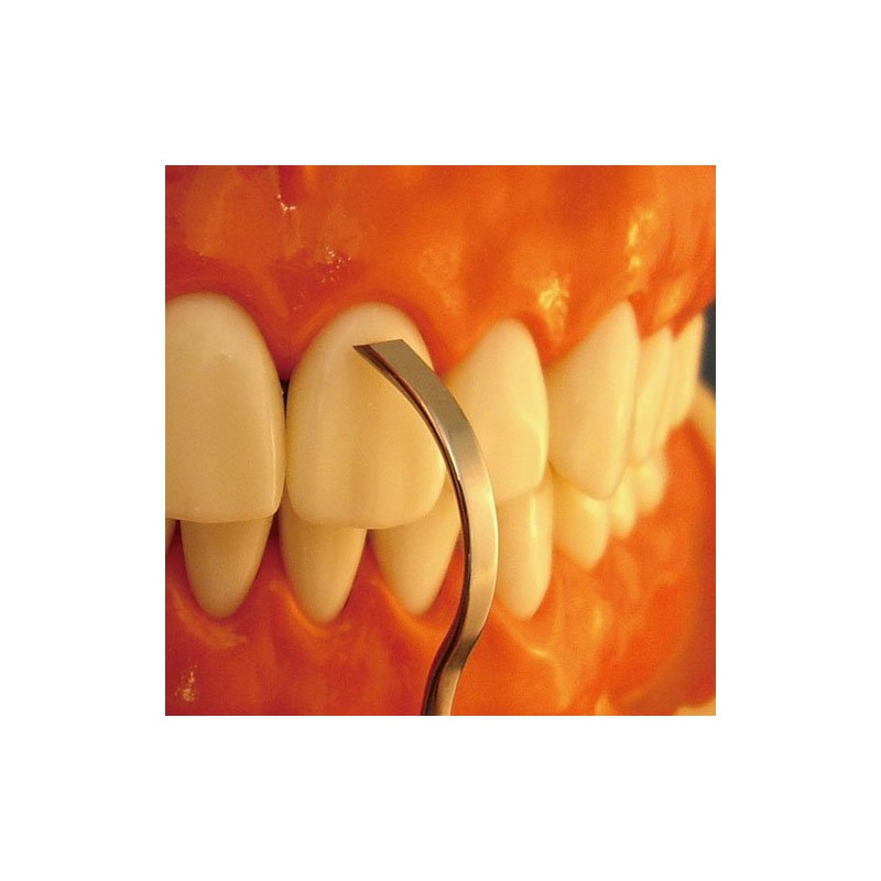 tartaroya-kun scaler sharp