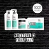 Shampoo Hidratante The Moisturizer Proyou Moisturizer | Para Cabello Seco