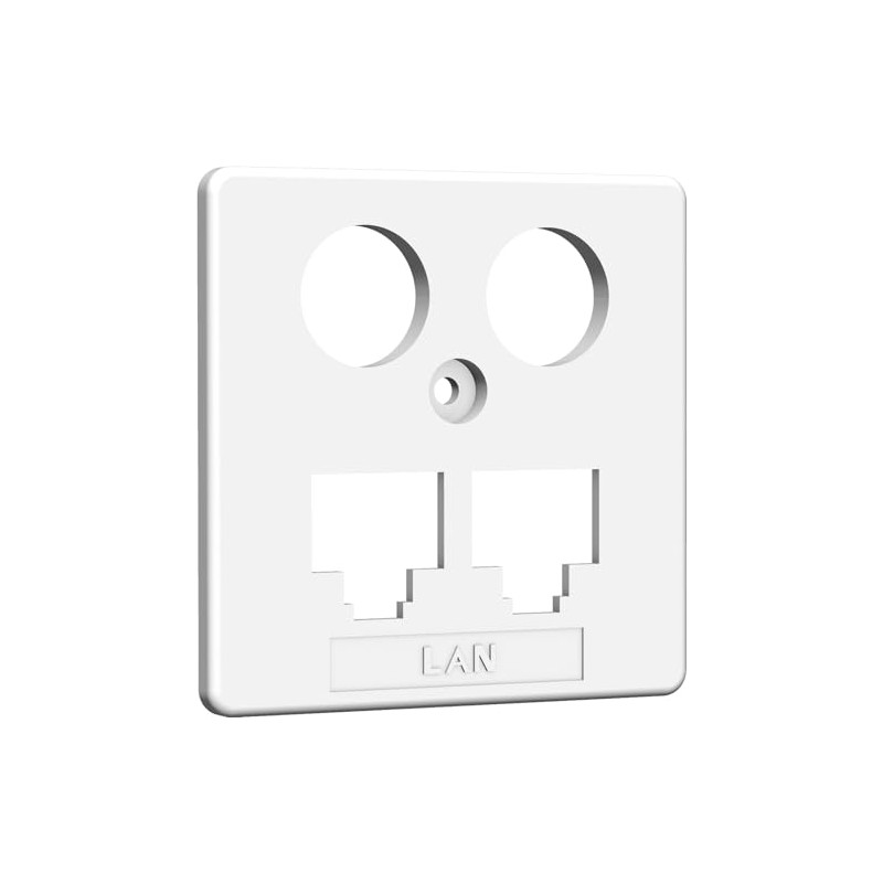 Central Panel TV + LAN 50 x 50 mm RW