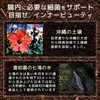 プロバイオティクス土壌菌サプリメント SOILcure（ソイルキュア）パウダー15ｇ/75日分