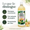 Shampoo Baño Botanico Extracto De Jengibre (crecimiento)1 Lt