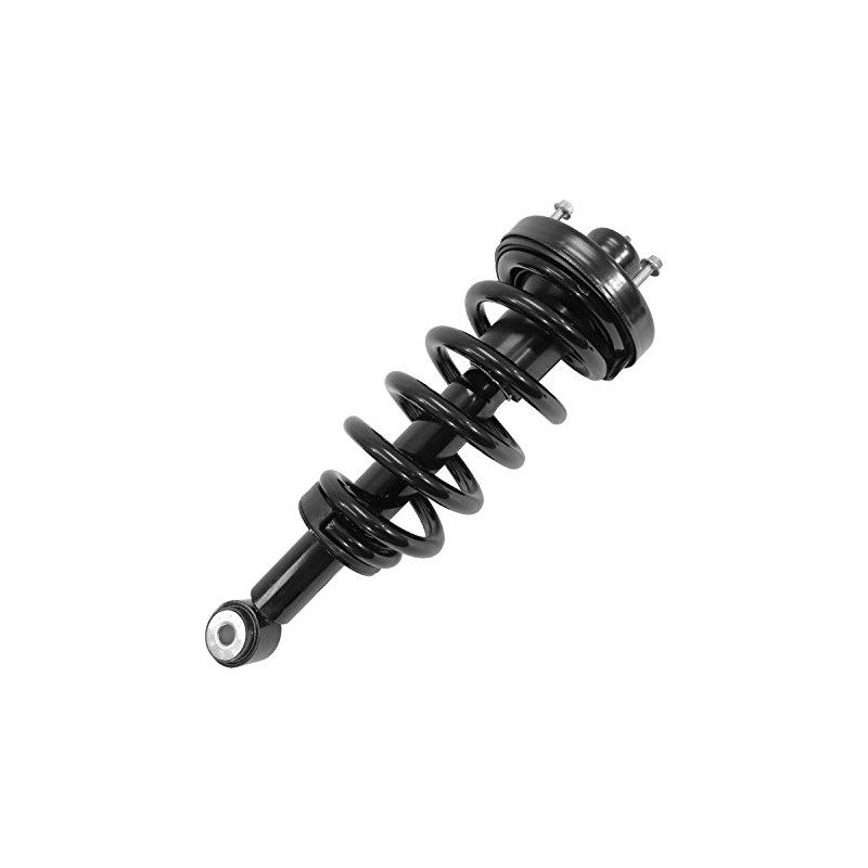 16030 Rear Complete Strut Assembly 2007-2017 Ford Expedition EL, 2007-2017