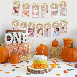Pumpkin 1st Birthday Photo Banner, Glitter Pumpkin Bnaner Newborn to 12 Month Photo Display for Pumpkin Baby Shower Fall First Birthday Party Decor
