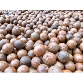Raw Macadamia Nuts - 5 lb.