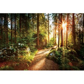 Yeele 12x8ft Jungle Forest Backdrop Natural Spring Scenery Sunshine Green Mountain Trees Background Outdoor Picnic Hiking Camping Picture Photoshoot Wedding Photography Background Photobooth Props