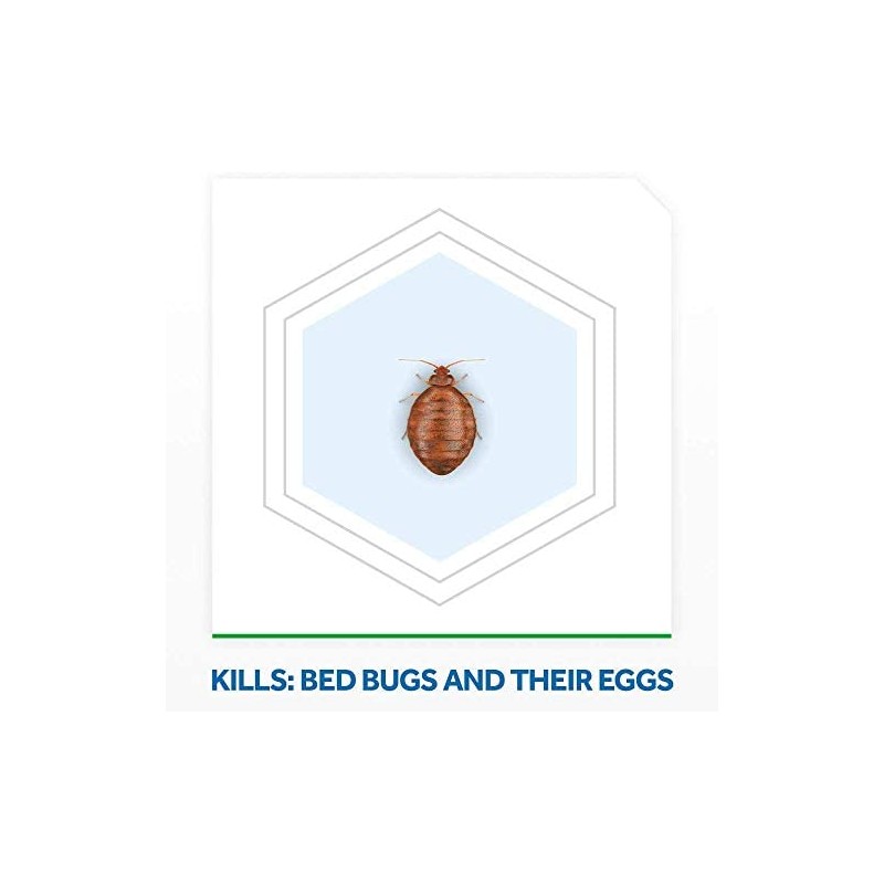 Raid Max Foam Bed Bug 17.5 Ounce (Pack of 2)