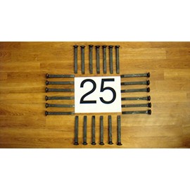 25 New Railroad Spikes