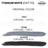DecoArt Traditions Canvas Art Paint, Titanium White, 2 fl oz,