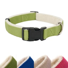 Petiry Comfortable Dog Collar with Fleece Lining,Stylish and Soft Winter Dog Collar for Male Medium Dogs Neck 31-49cm,Green