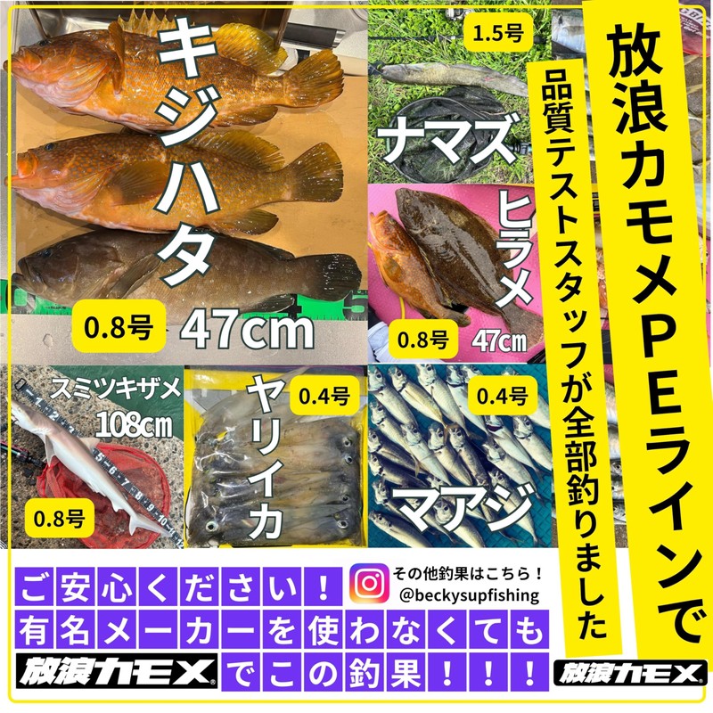 Wandering Seagull PE Line Fishing Line #4 1000M 5 Colors