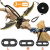 3 Size Pack Bearded Dragon Leash and Harness Set, Bearded