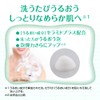 CareCera Foam Moisturizing Body Wash, Refill Pack of 2 +