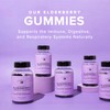 The Elderberry Co. Extra Strength Elderberry Gummies with Vitamins C,