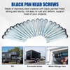 8X1 Pan Head Metal RV Screws Black Drive Self Tap