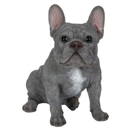 Vivid Arts (Blue French Bulldog Sitting