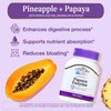 21st Century Papaya Enzyme Chewable (100 Count), Papaya & Pineapple