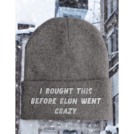 tshirtladen Hat - I bought this before Elon went crazy - Beanie One Size - Winter Hat Soft Touch - Embroidered Sayings Hat - Choice of Colours - Funny Hat, gray, One size fits all