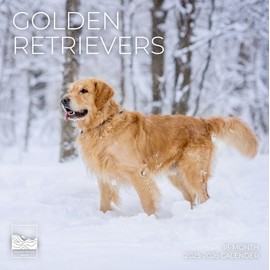 July 2025- December 2026 Wall Calendar 18 Month | 12" x 24" Open | Giftable Dog Calendar 2026 | Thick & Sturdy Paper for Organizing & Planning | Pacific Waters Press (Golden Retrievers)