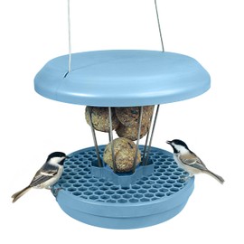Lucerne Smart Birds Bird Feeder for Fat Balls. Feed Birds - Not Rodents. Robust and Reliable for Hanging. Made in the EU. Light Blue