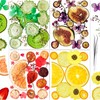 70PCS+ Nature Dried Pressed Fruits Flowers for Resin Mold, Real