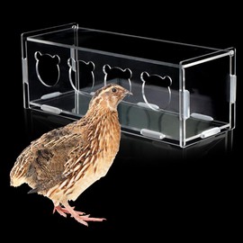 Quail Transparent Feeder Rutin Chicken Feed Box Chick Small Bird Seed Food Container for Small Bird Quail Chick (4 Holes)