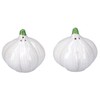 Gisela Graham Ceramic Garlic Salt & Pepper Shaker Set