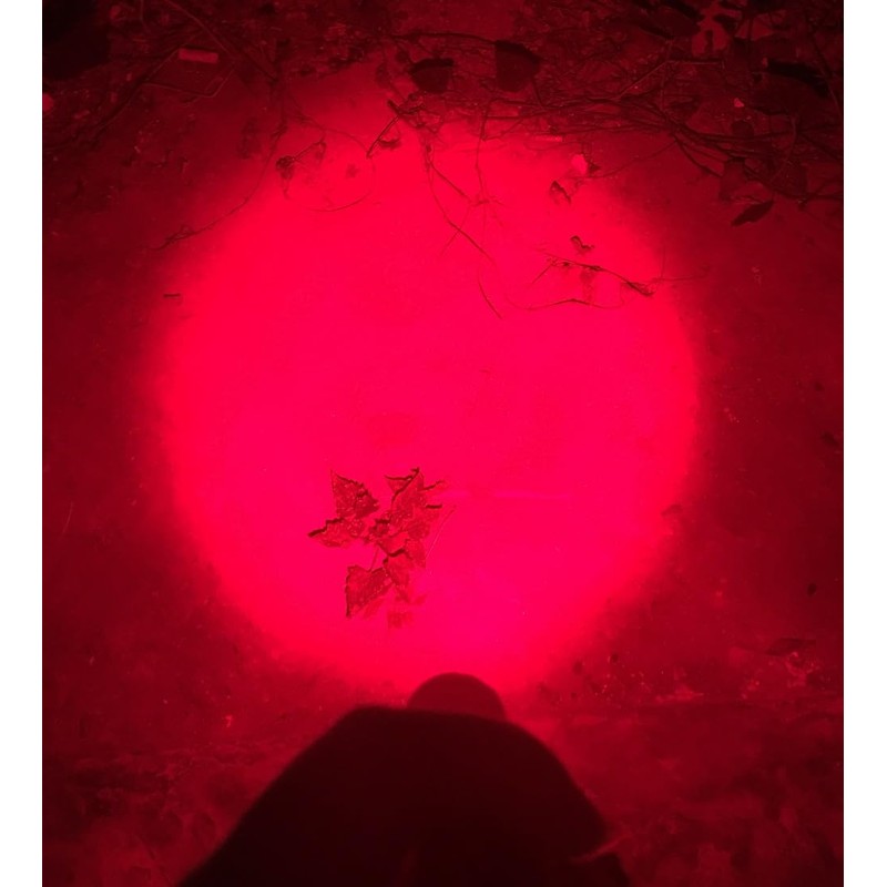 WAYLLSHINE 4 Pack Single Mode Red Light Flashlight, 1 Mode