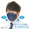 Biho Mask Made in Japan 4 Layer Construction, Double Uses