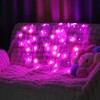 Butterfly Curtain Lights, 6.6ft 48 LED 10 Butterflies USB 8