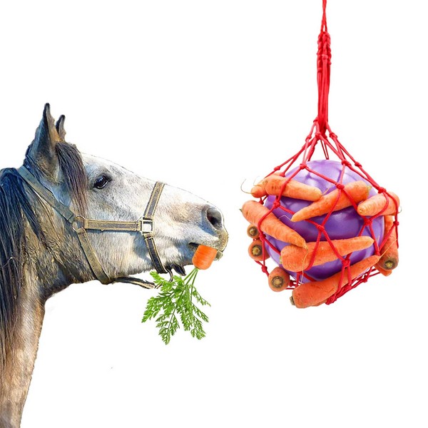 Tirifer Horse Treat Ball Carrot Feeder Toy Hanging Feeding Toy