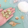 5 PCS Cute Small Imitation Shell Pearl Hair Clip,Gold Pearl