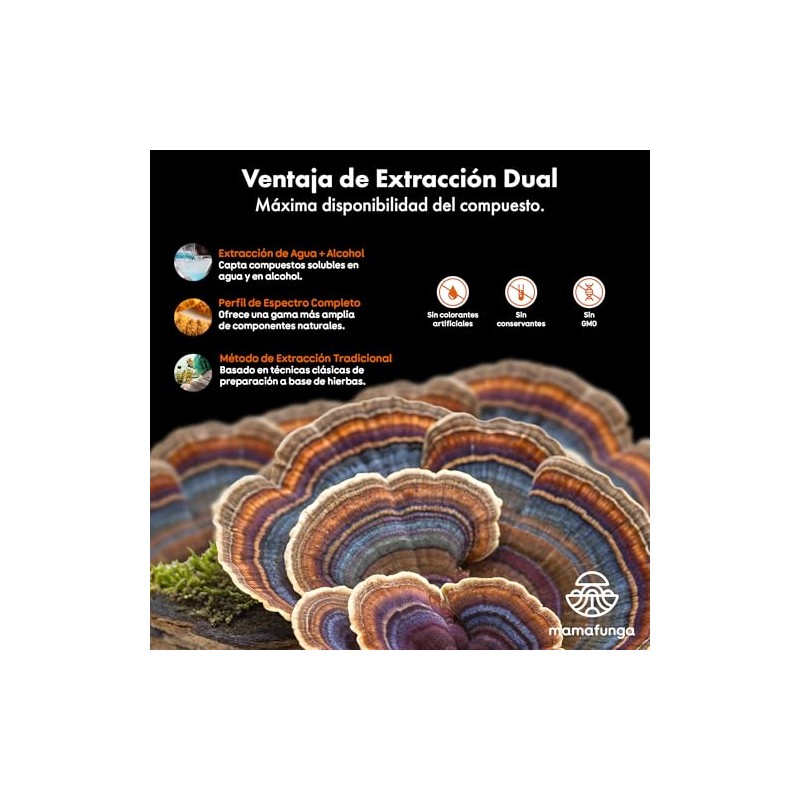 Cola de Pavo (Trametes Versicolor) - Extracto Líquido de Doble