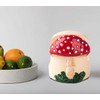 dgudgu Mushroom Kitchen Sponge Holder Resin Sponge Dish Red Sponge