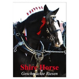 Shire Horse - Geschmückte Riesen (Wandkalender 2026 DIN A2 hoch), CALVENDO Monatskalender: Traditionell geschmückte Shire Horse (CALVENDO Tiere)