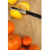 Quantity Paring Knife Serrated Stainless Steel Small Fruit and Vegetable