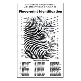 Fingerprint Chart