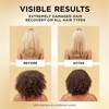 Pantene Pro-V Miracles Extreme Damage Care Regenerative Oil Blend 1