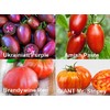 This is A Mix 30 Rainbow Deluxe Tomato Seeds Mix
