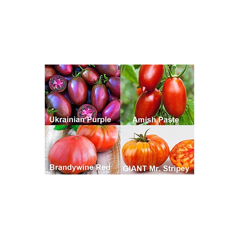 This is A Mix 30 Rainbow Deluxe Tomato Seeds Mix