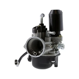 2EXTREME 17.5 mm Carburettor with E-Choke Compatible with Piaggio Liberty 50 2T, NTT 50, Quartz 50, S 50