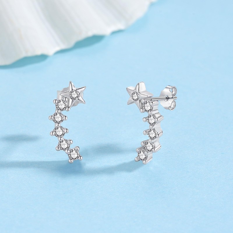 Zolkamery Silver Studs Earrings for Women, 925 Sterling Silver Star