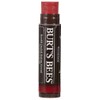 Burt's Bees, Lip Balm Tinted Daisy, 0.15 Ounce
