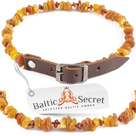 Collar for Dogs and Cats - Dog Collar - Genuine Raw Baltic Amber Beads - Accessory for Your pet - 100% Natural Amber Beads - Amber Insert Cognac - Size Options … (8.6" - 9.4" (22-24cm))
