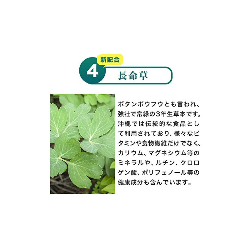 オーガランド (ogaland) ノコギリヤシ (30粒 / 約1ヶ月分) サプリ (ラウリル酸/リノール酸/オレイン酸) パンプキンシードオイル 長命草