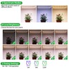 RWNTAO Two Strip Growing Lamp for Indoor Plants, Red &
