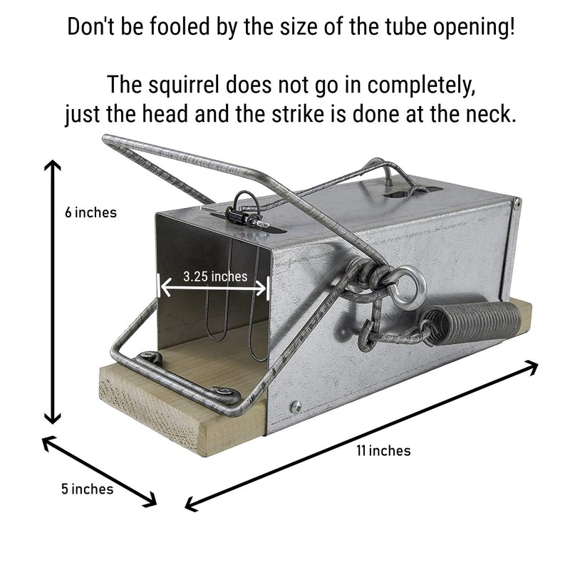 Squirrel Traps Outdoor - Squirrel Trap - Ouell Traps -