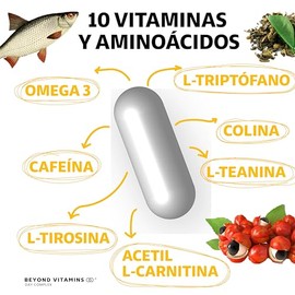 Nootropico Day Complex con Vitaminas, Minerales y Aminoácidos- Contiene Omega 3, L -Triptófano, Colina, Acetil L-Carnitina, L-Teanina- Suplemento Vita