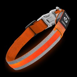 PetIsay Glow-in-The-Dark Dog Collar - Rechargeable IP68 Waterproof LED Collar with Reflective Strips & Metal Buckle Light up Collar for Night Walking, Hiking, Camping (Medium, Green)