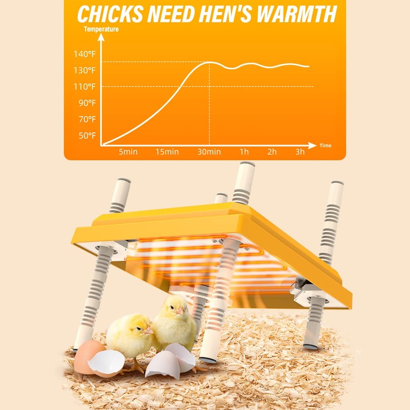 BlyeMichdi BlyeMichdi Brooder Heater for Chicks,10" x 10" Chick Brooder