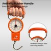 Pristis Fishing Hanging Scale, 80 LBs Fish Weight Analog Spring